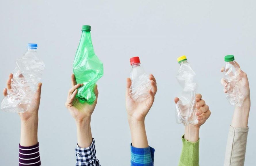 Efectos del BPA en la salud?